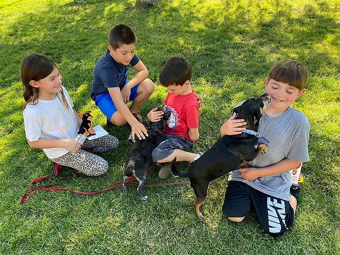 kids meeting two small friendly dogs