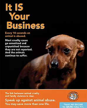 C.A.R.E.4Paws Animal Abuse Awareness, It is your business flyer. 