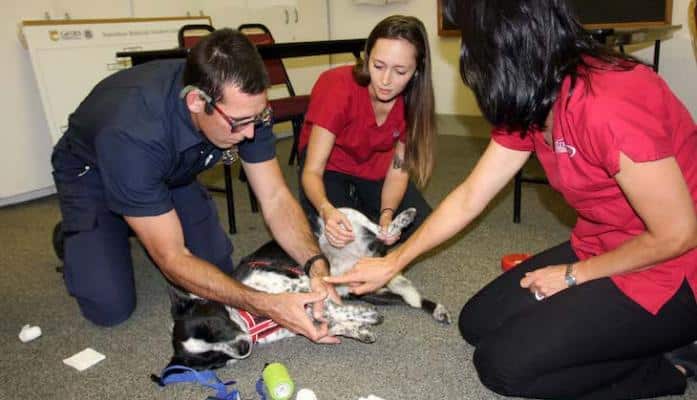 Pet Emergency Training for First Responders on Edhat