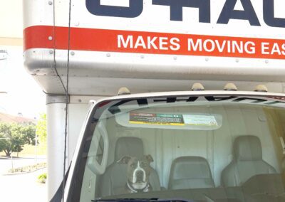 Lola, the dog, rides in a Uhaul to pick up tons of dog food with Dad