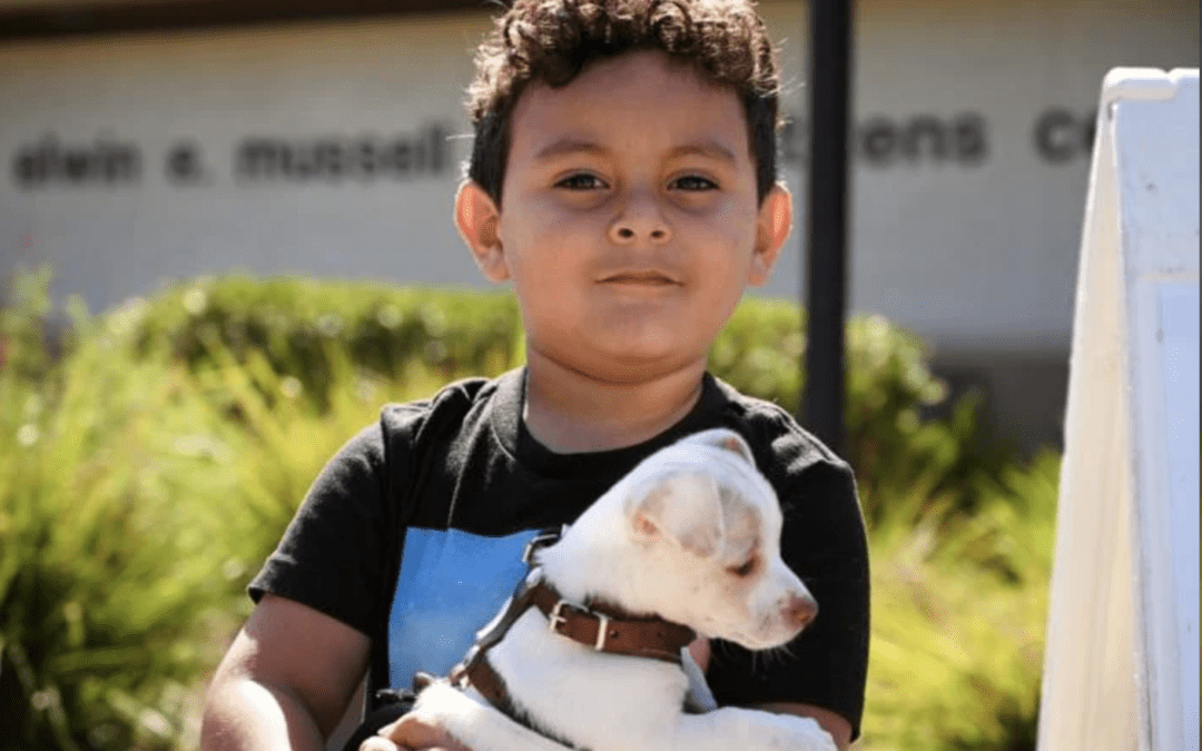 C.A.R.E.4Paws continues to help Central Coast families care for their pets