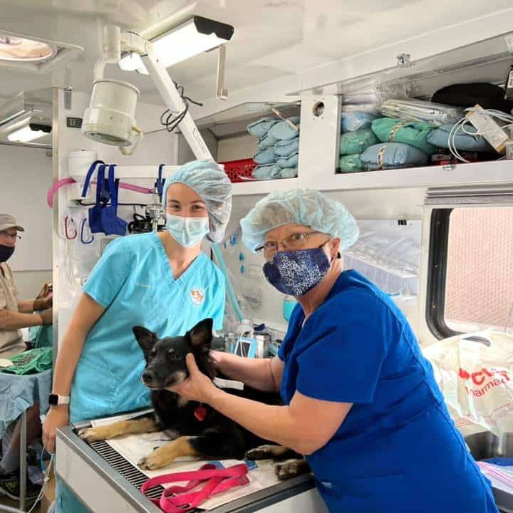 Two women with a dog in a clinic setting