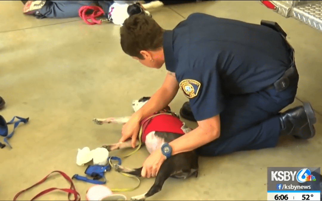 Pet Emergency Training for First Responders on KSBY