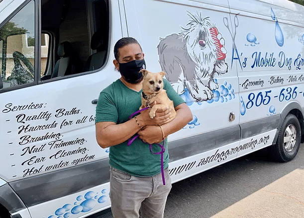 Grooming For Dogs Of The Homeless