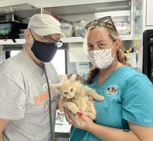C.A.R.E.4Paws Mobile Pet Clinic staff holding an orange tabby kitten