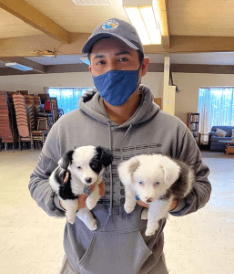 A man with two puppies at a C.A.R.E.4Paws Mobile Pet Clinic