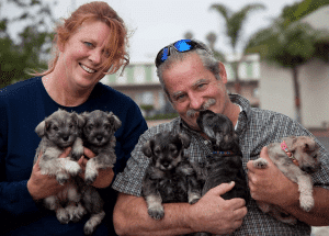 A family with puppies at a C.A.R.E.4Paws Mobile Pet Clinic
